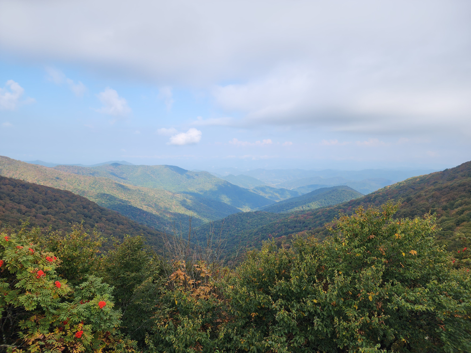 Picture of Blue Ridge Rambling