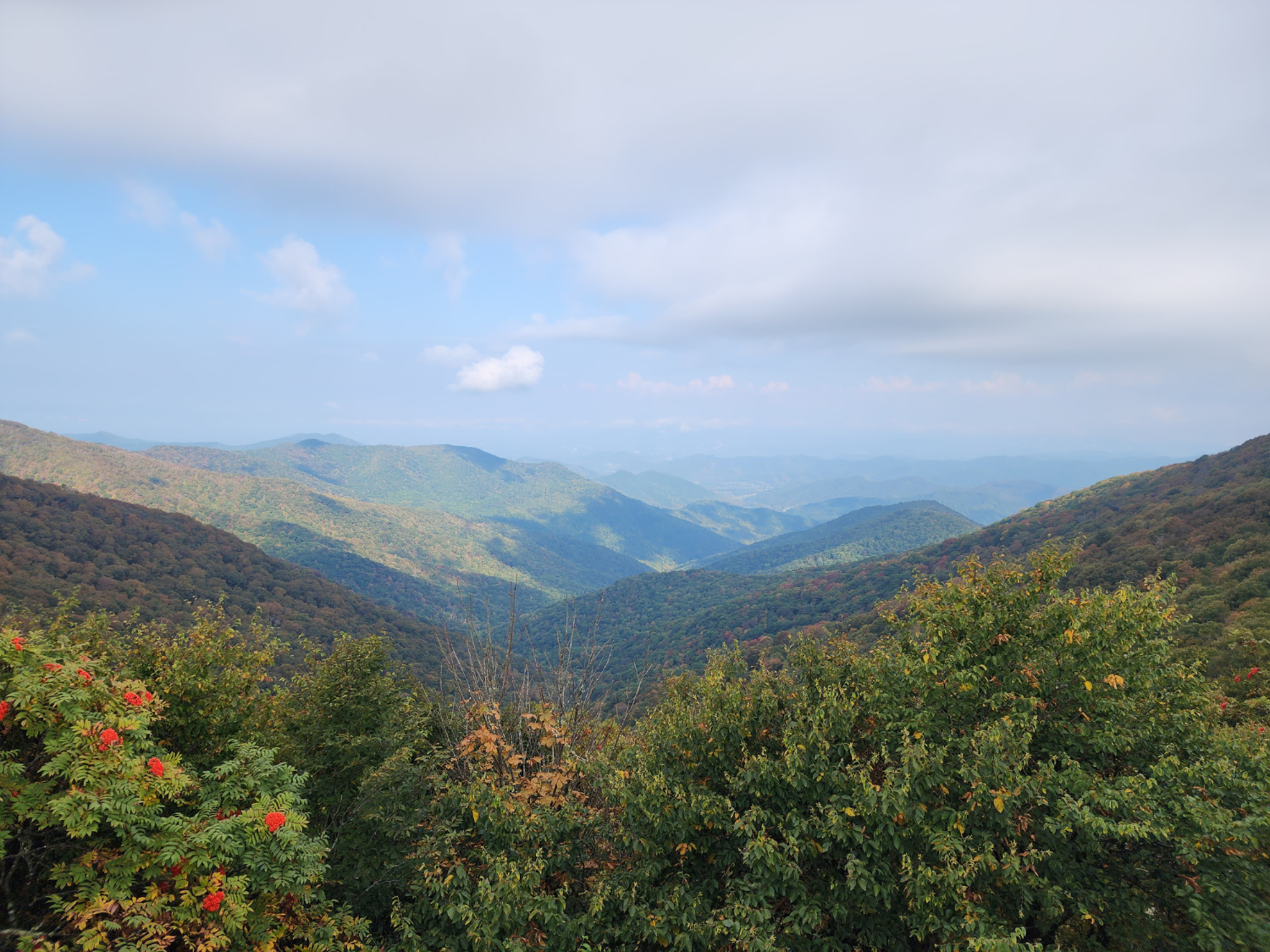 Picture of Blue Ridge Rambling