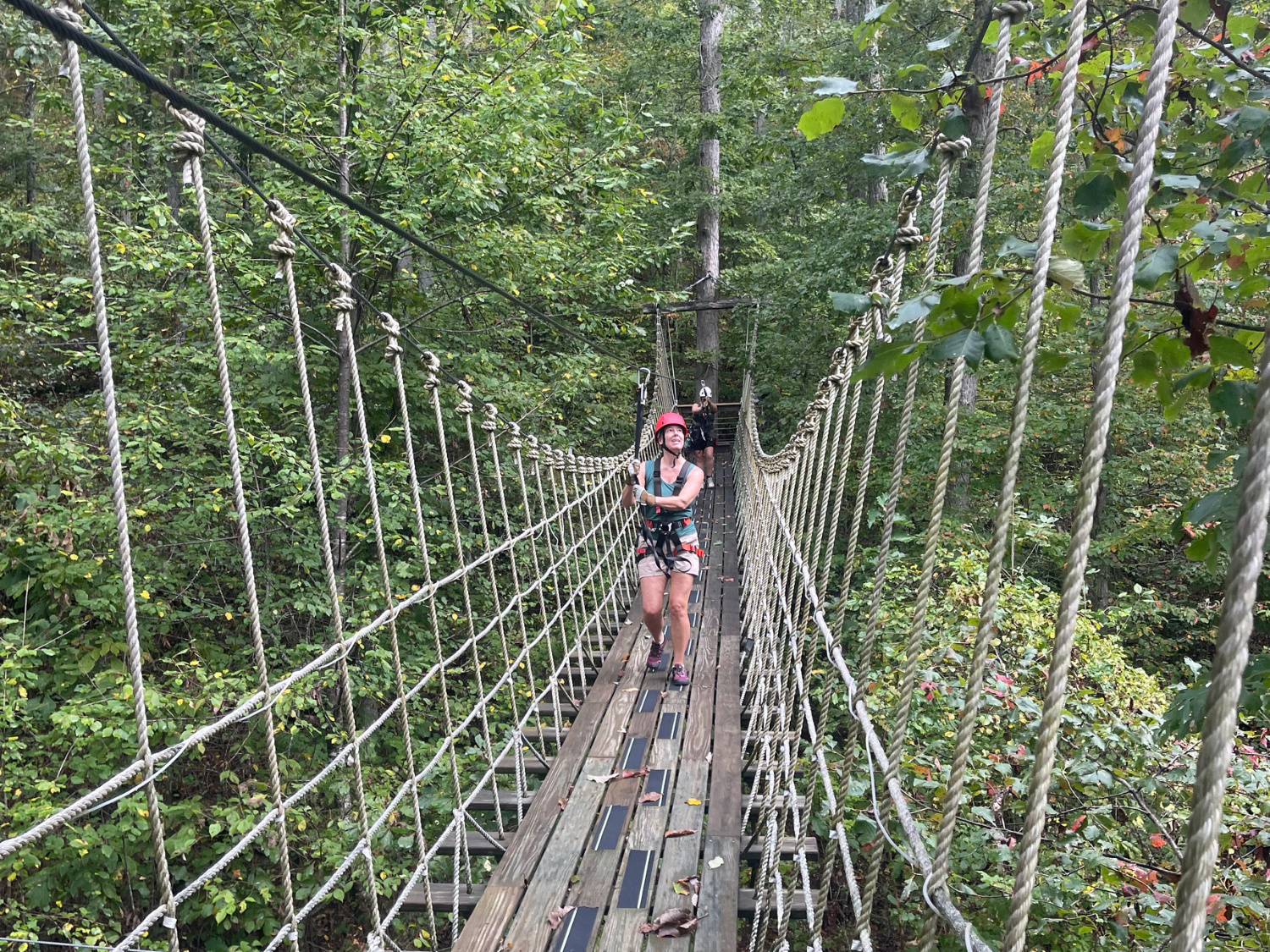 Picture of Blue Ridge Rambling