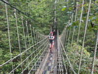 Picture of Blue Ridge Rambling