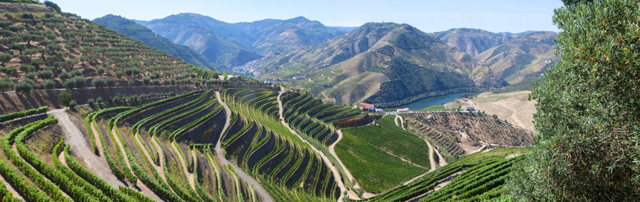 Portugal: Porto & the Douro Valley