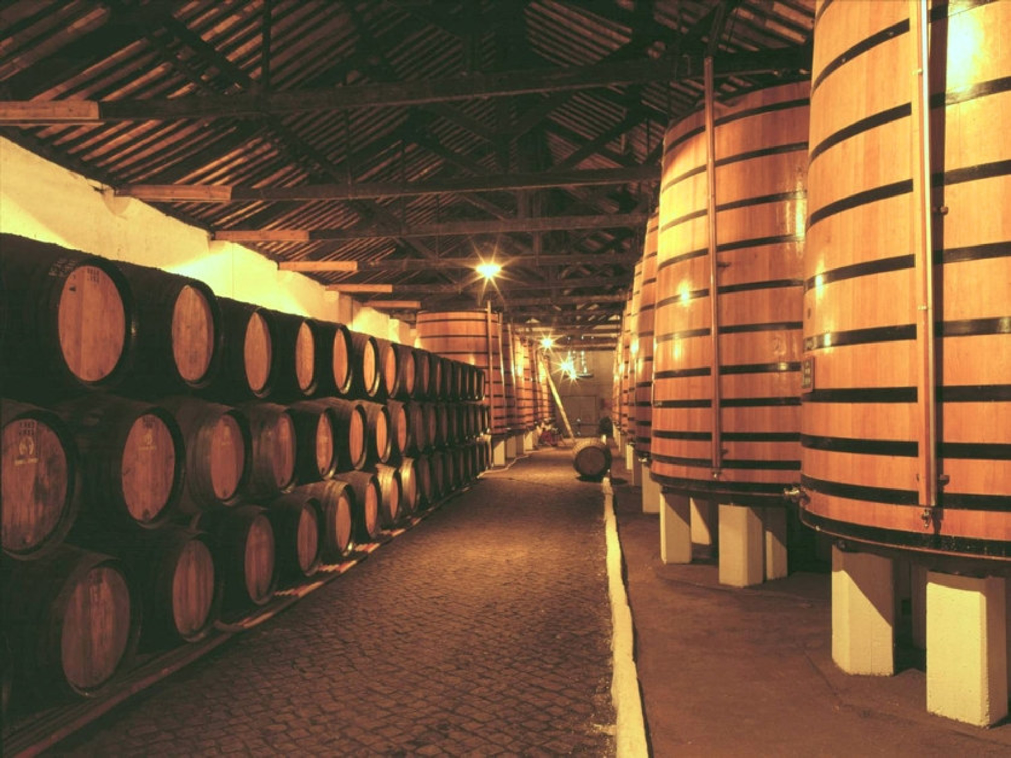 Picture of Portugal: Porto & the Douro Valley