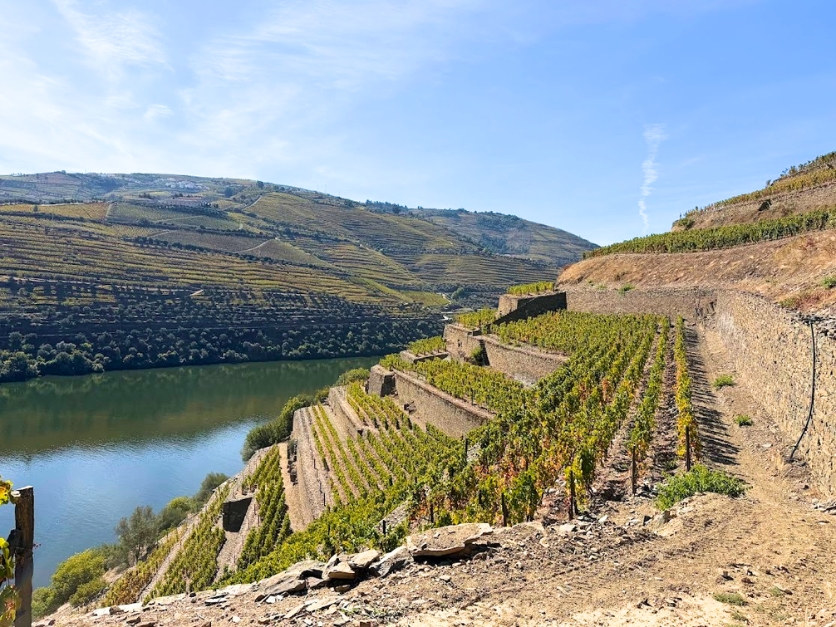 Picture of Portugal: Porto & the Douro Valley