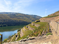 Picture of Portugal: Porto & the Douro Valley