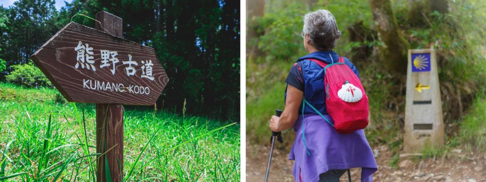 How to become a Dual Pilgrim