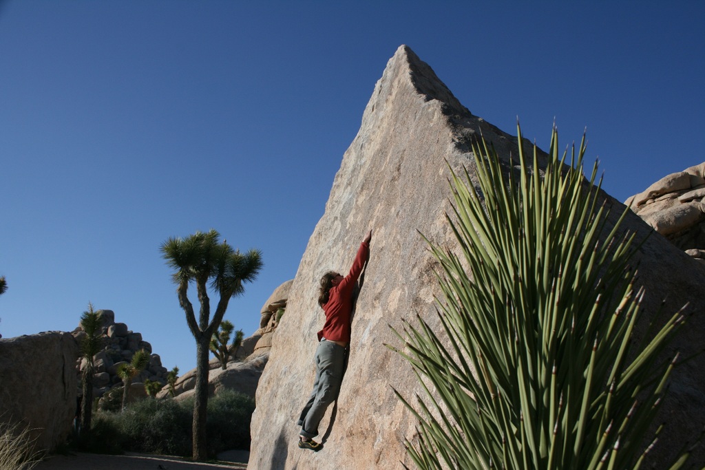 Rock Climbing in Joshua Tree