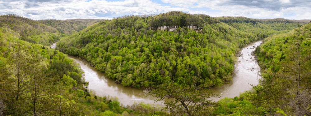 Temperate Rainforest | Big South Fork