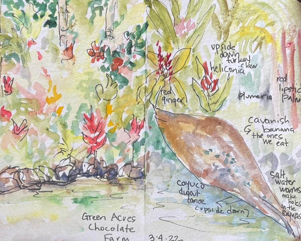 green acres chocolate farm watercolor by brenda porter