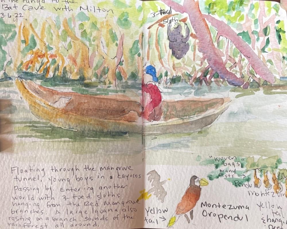 paradise in panama watercolor by brenda porter