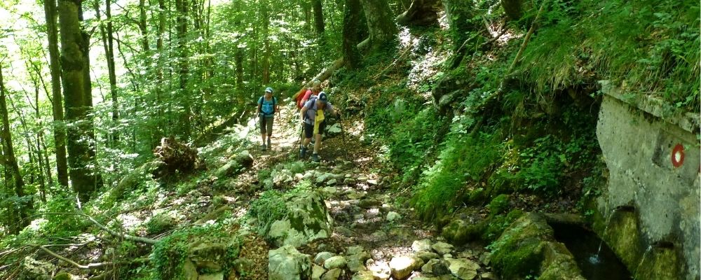 womens group trip to the Via Dinarcia
